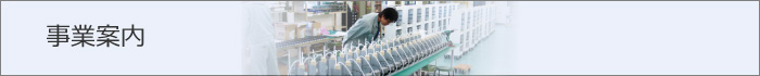 事業内容
